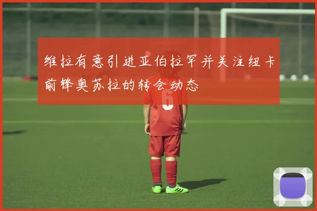 维拉有意引进亚伯拉罕并关注纽卡前锋奥苏拉的转会动态